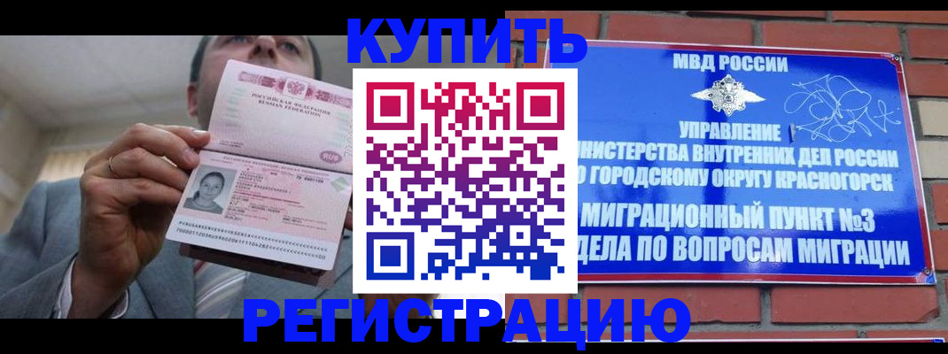 прописка в Светлогорске